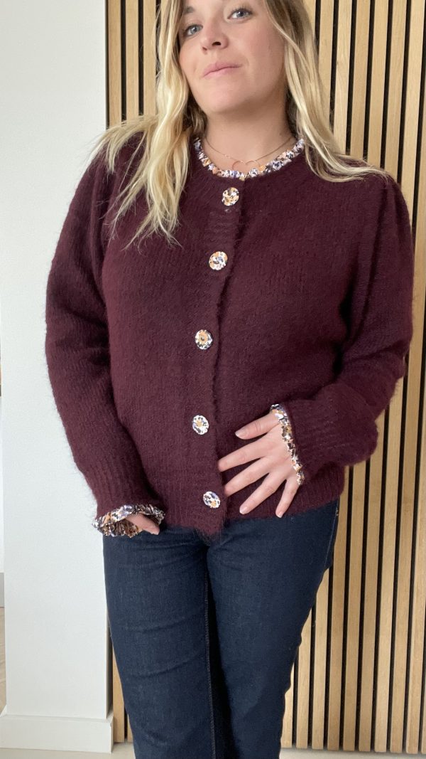 Pull Camille bordeaux